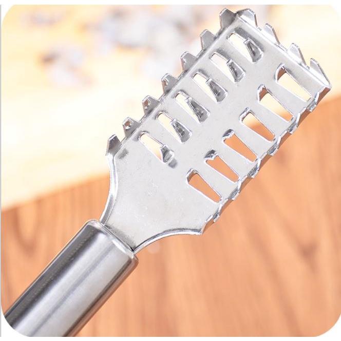Dụng cụ đánh vảy cá chắc chắn, an toàn giúp làm sạch vảy cá một cách nhanh chóng p191-48
