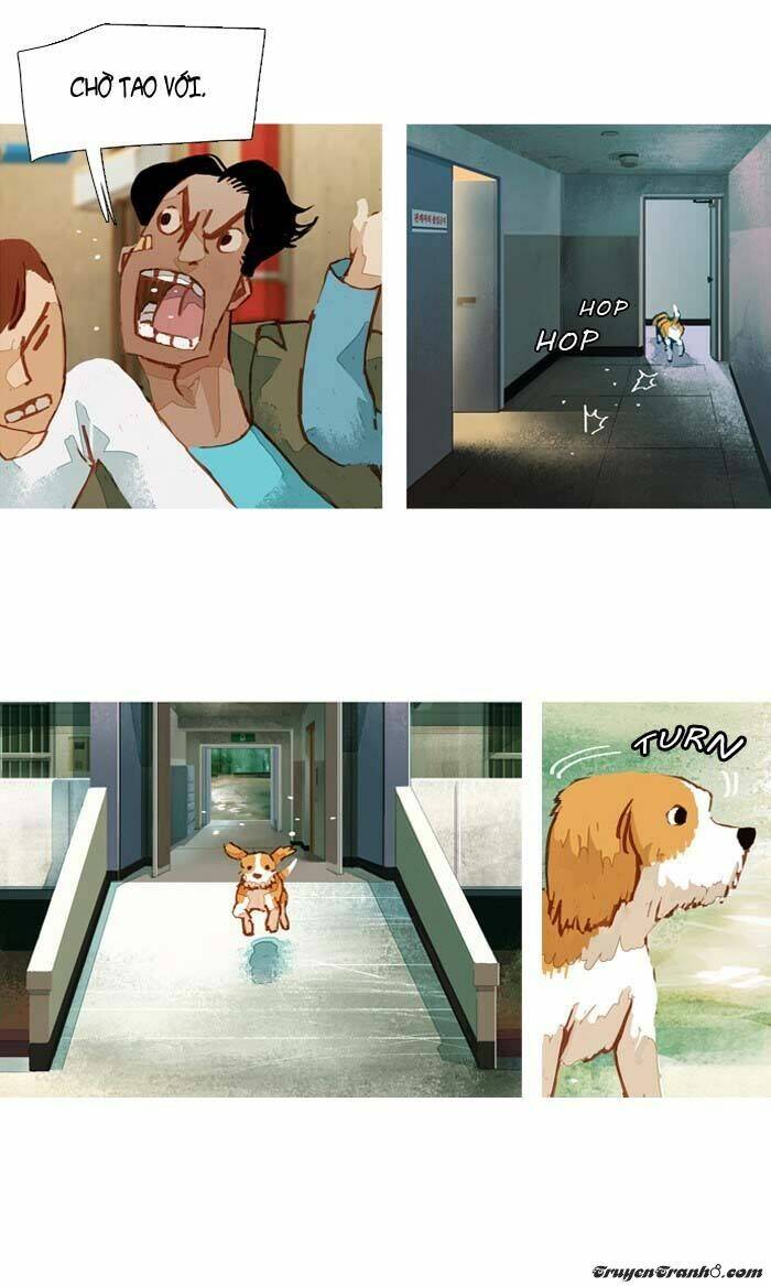 subtle disaster chapter 37 23