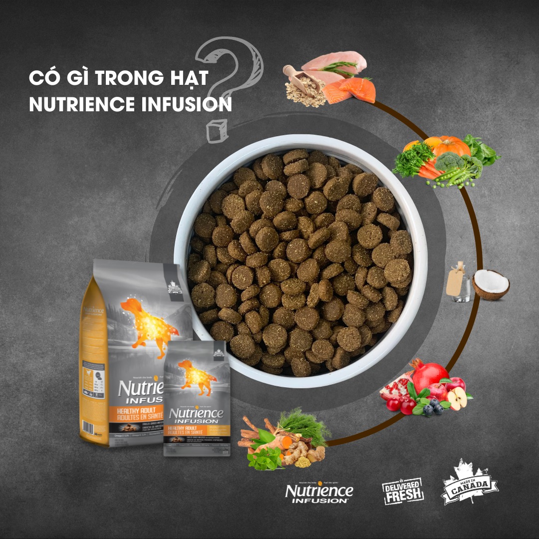 NUTRIENCE Thức ăn Chó trưởng thành kích thước vừa, lớn bao 10kg