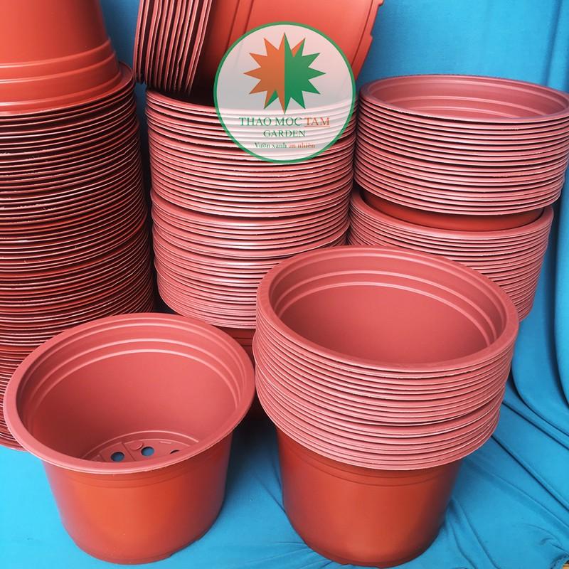30c Chậu nhựa trồng hoa 23x16cm - Chậu nhựa trồng cây hoa cảnh