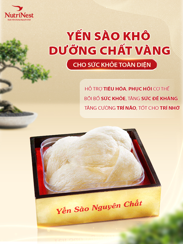 Tổ Yến Sào Rút Lông Nguyên Tổ Đặc Biệt NutriNest Cao Cấp Tặng Người Thân 50g - Kèm Đường Phèn