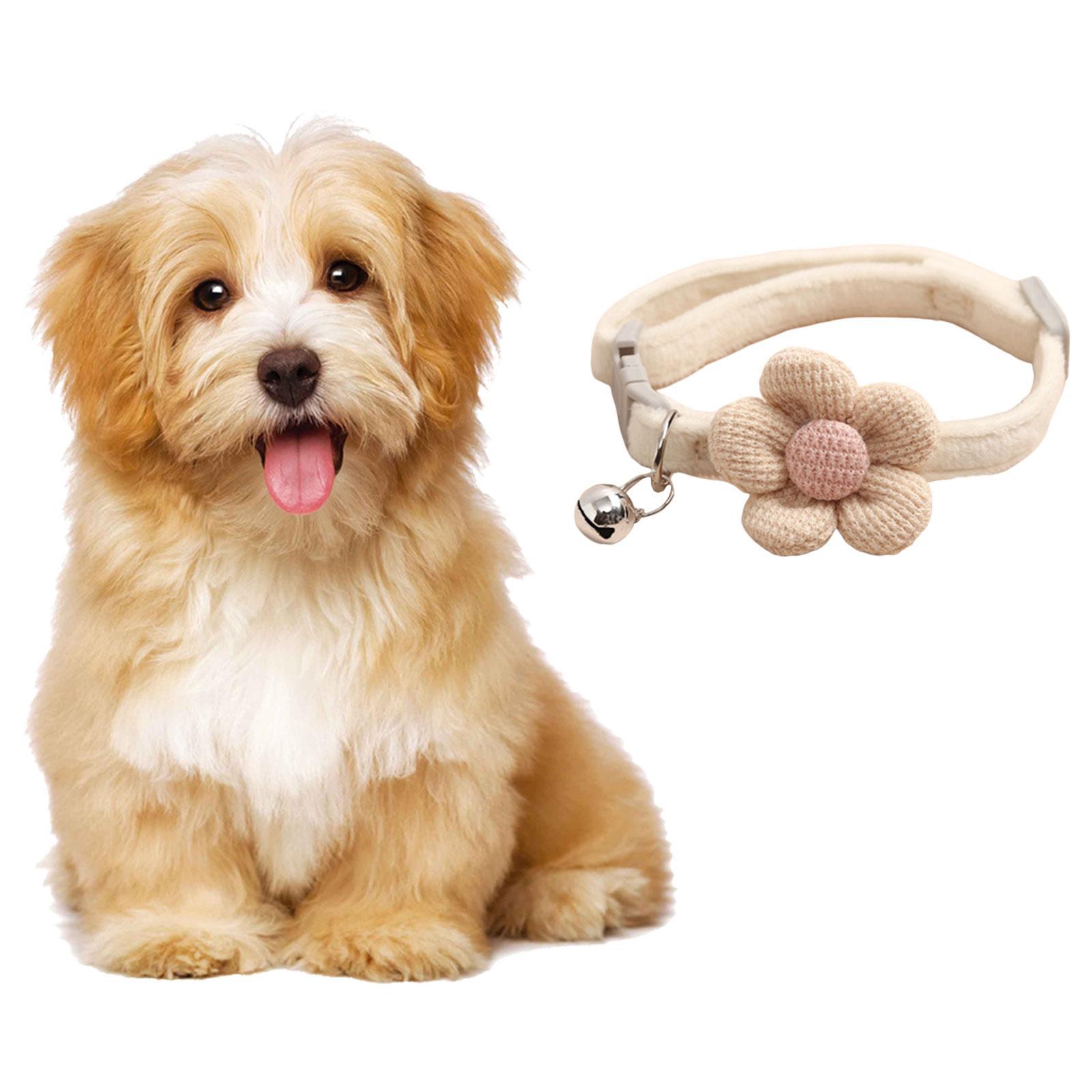 Cat Collar Necklace with Bell Collars for Kitty Rabbit Small Medium Dogs