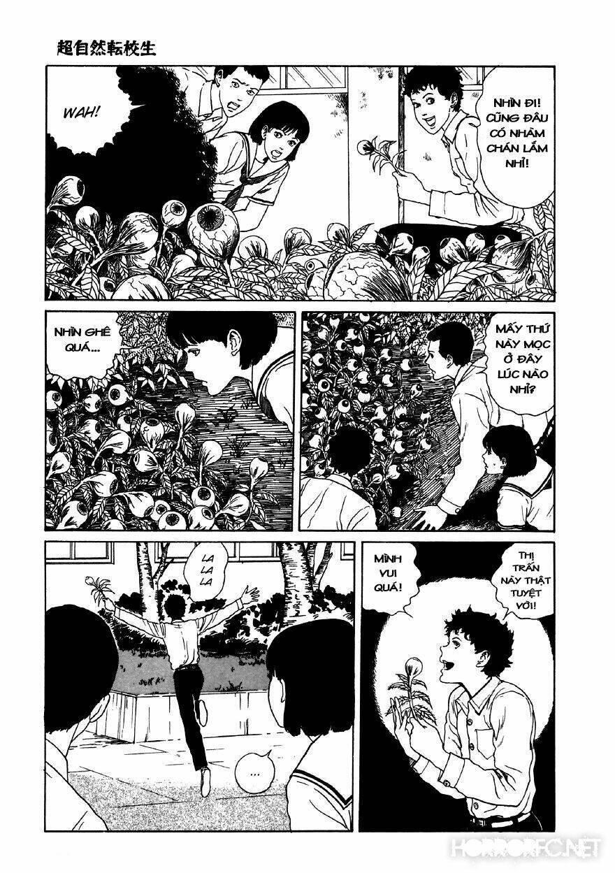 tuyển tập truyện ngắn kinh dị của ito junji chapter 11.5 14