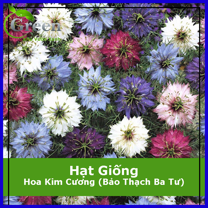 Hạt Giống Hoa Kim Cương Nhiều Màu
