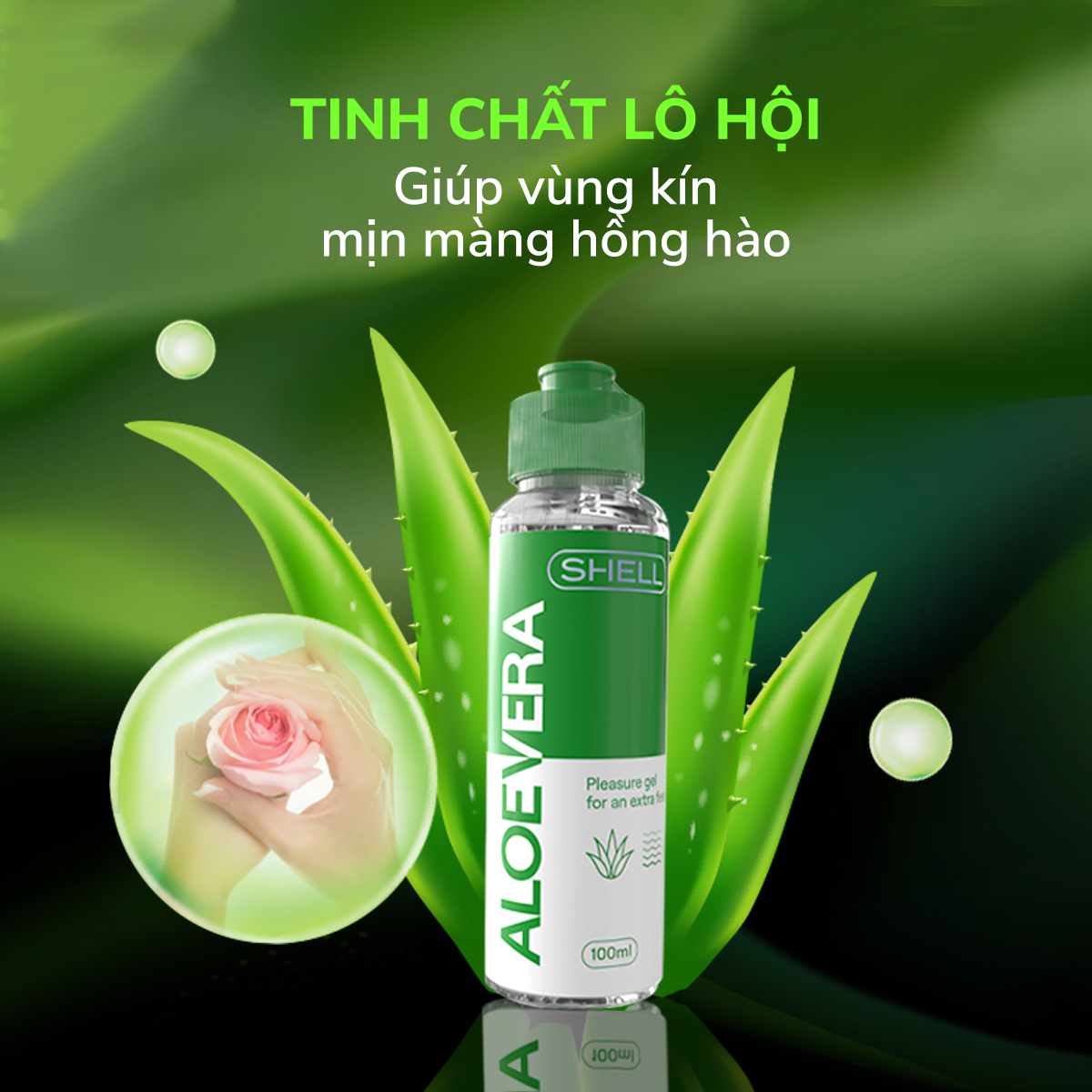 Gel bôi trơn tinh chất lô hội - Shell Aloe