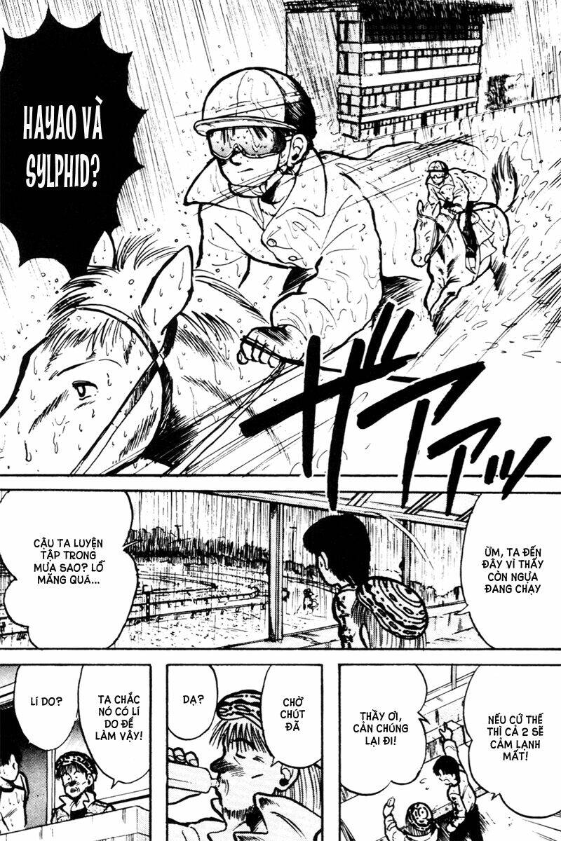 kaze no sylphid - phong mã silphid chapter 13 11