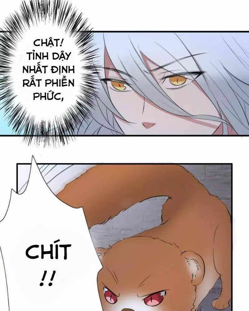 hành trình sủng đế cơ chapter 1 61