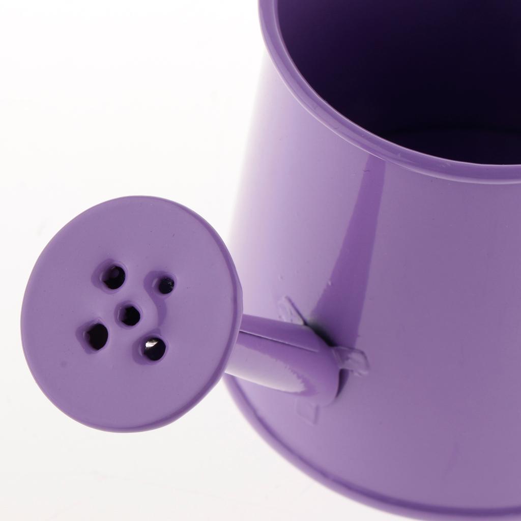 3x Pastoral Style Flower Watering Can Water Pot Sprayer Kettle for Small Plants