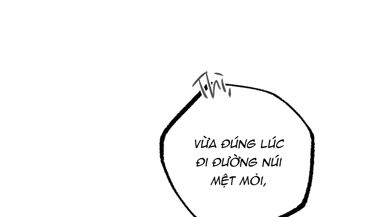 những chú thỏ của hapypy chapter 49 46