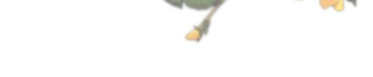 tôi sẽ cứu lấy nam chính tiểu thuyết bl chapter 23.2 21