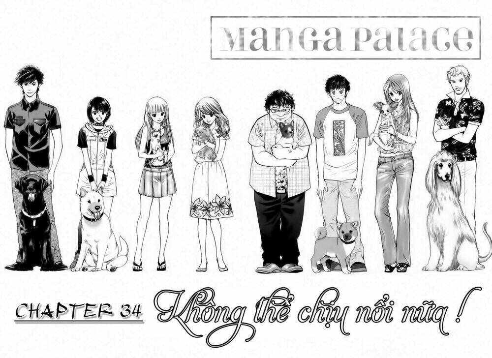 cô nàng yêu chó chapter 34 2