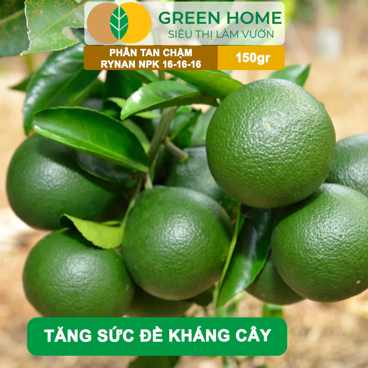 Phân Tan Chậm GreenHome, Rynan NPK 16-16-16, Hũ 150gr, Dùng Cho Cây Có Múi Khỏe Bền Tán Xanh Rễ Mạnh