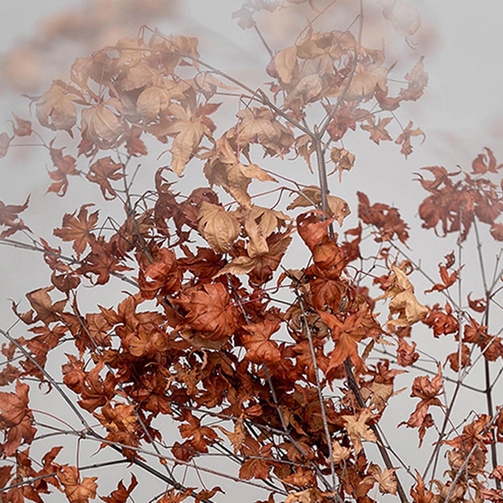 Creative Photography Lens FX Filter Swirl Polarizer for Camera Supplies