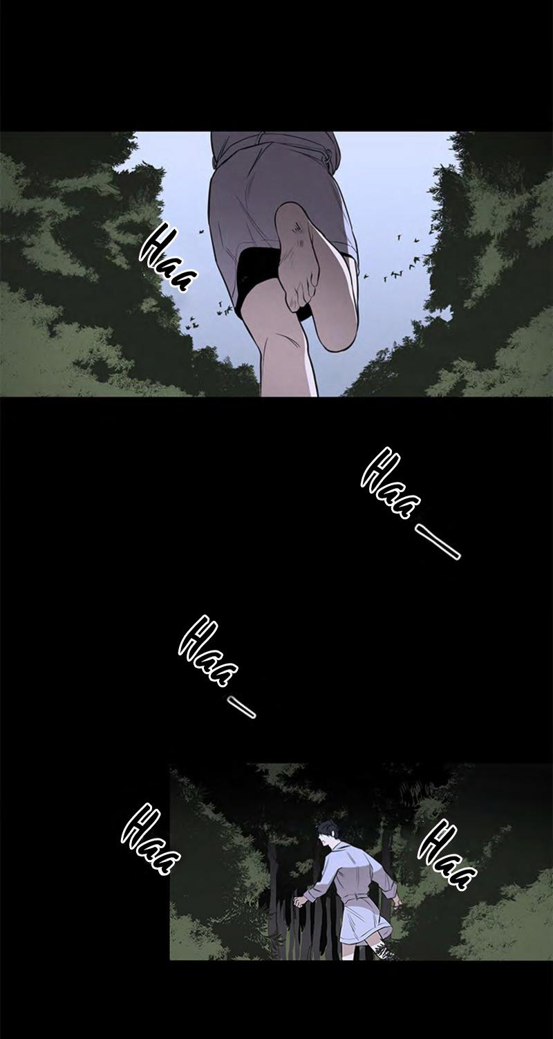 the wing chapter 1 2