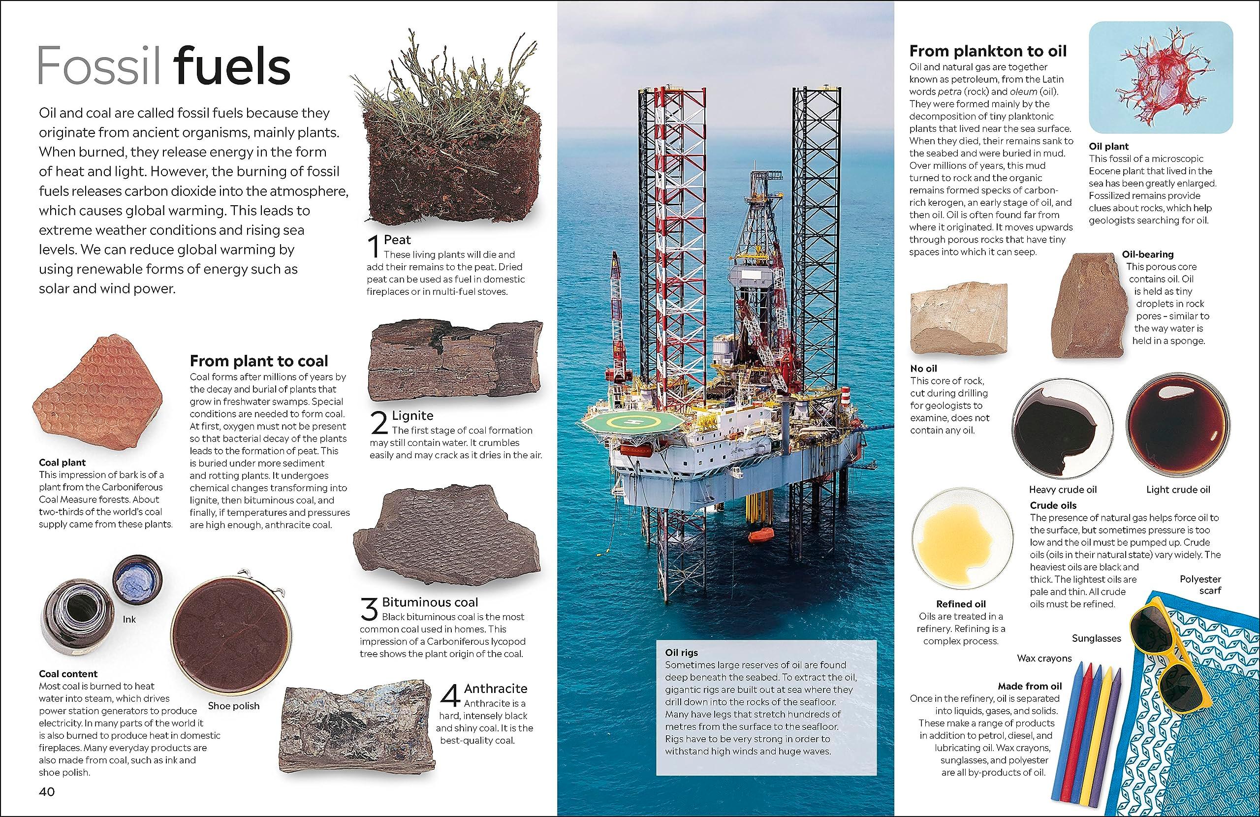 Sách ngoại văn: Eyewitness - Fossil