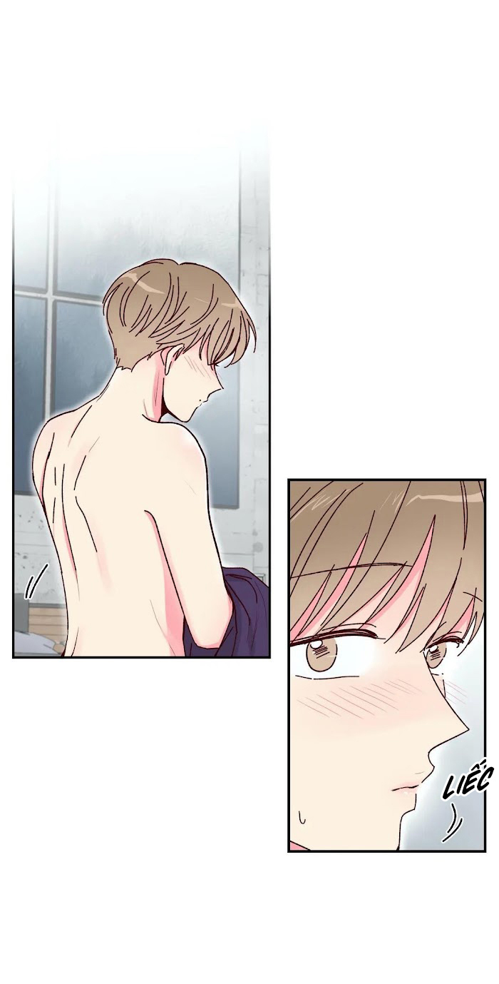 món tráng miệng của sếp tổng chapter 14 1