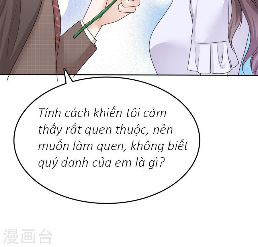 con đường phản công của sủng thê chapter 19 18