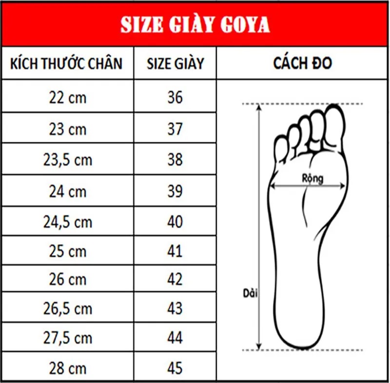 Giày Thể Thao Chạy Bộ Đường Trường Goya Plus - Màu Xanh Biển