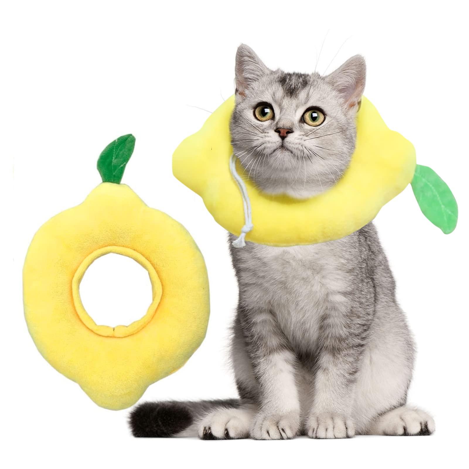 Mèo chó nhỏ Ruff bảo vệ, điều chỉnh cổ áo chống cắn cho chó mèo Cổ COLLEY COLLEY COLLAR PRESSENT