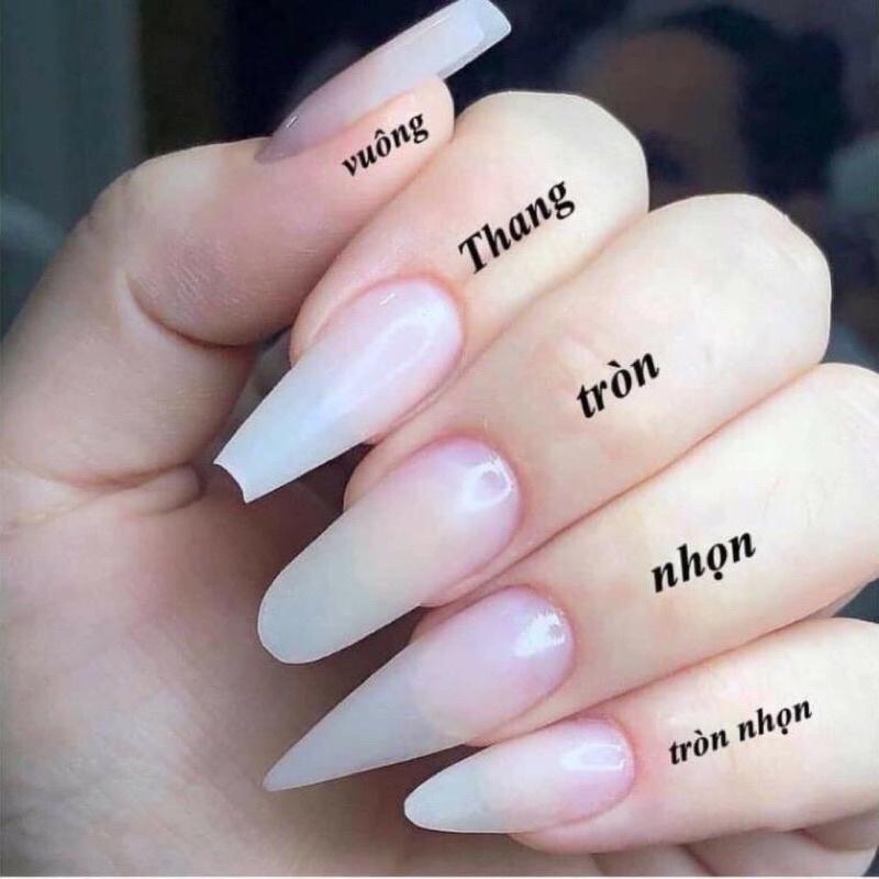 Nailbox thiết kế   - mẫu móng úp xinh mix phụ kiện