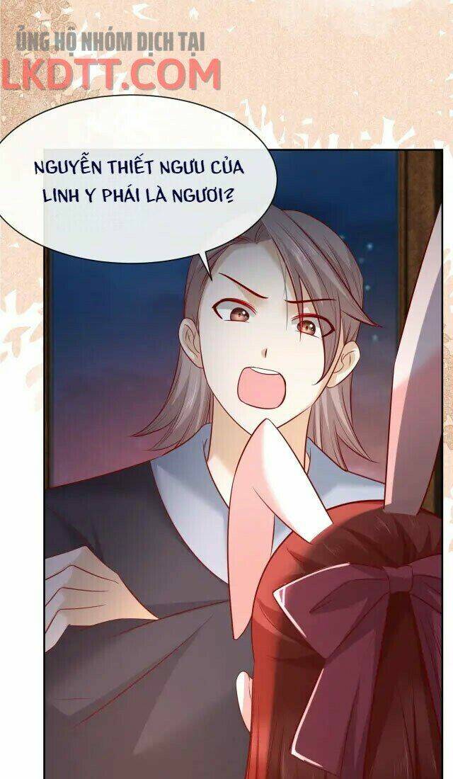 hắc hóa nam chính trực tuyến nuôi thỏ chapter 26 29