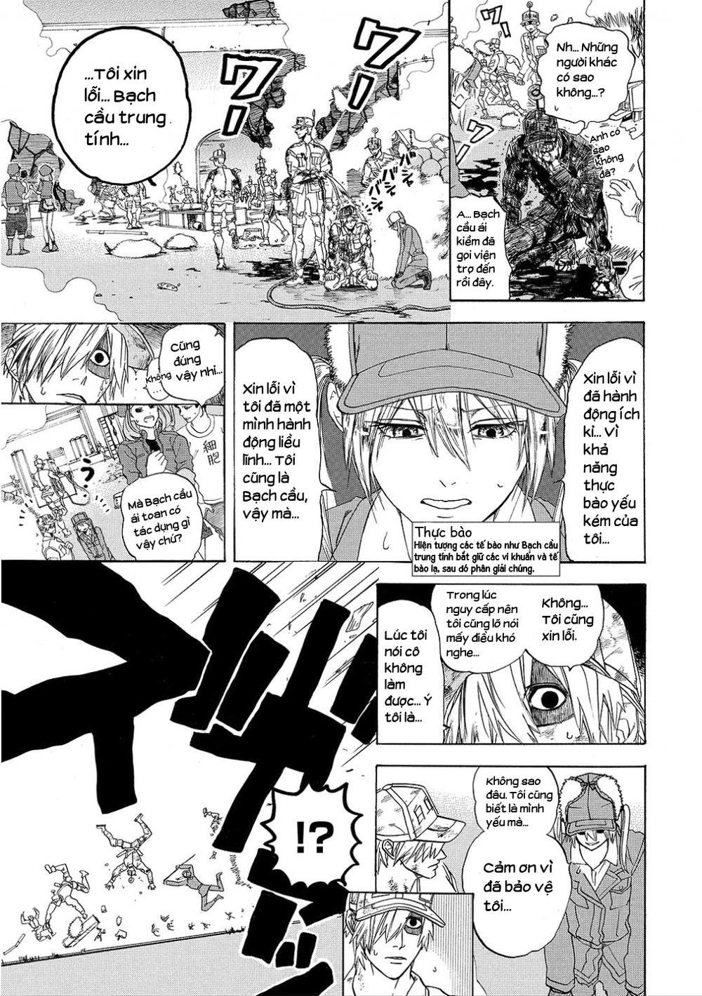 hataraku saibou! chapter 5 17