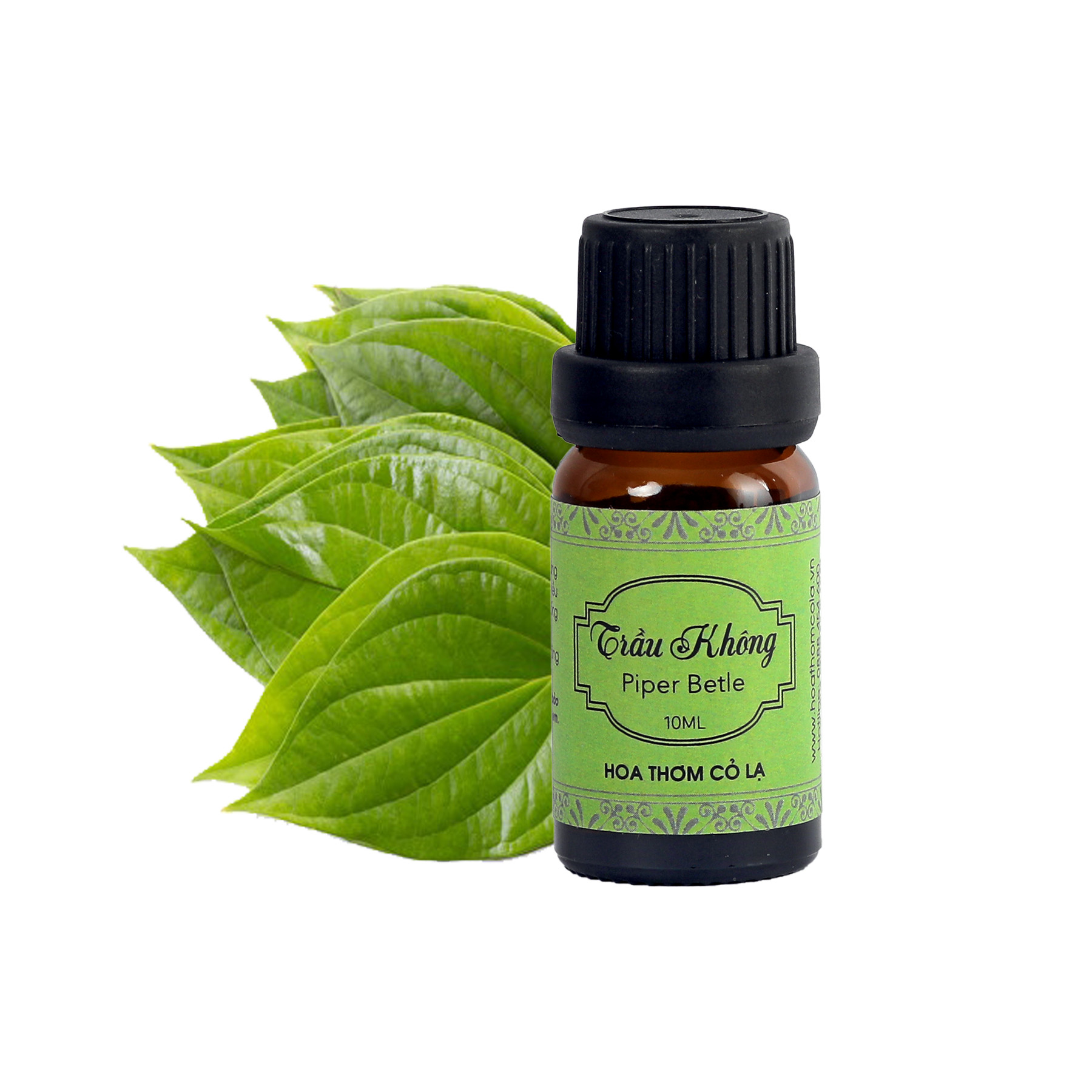 Tinh Dầu Trầu Không - Piper Betle Essential Oil 5ml - Hoa Thơm Cỏ Lạ