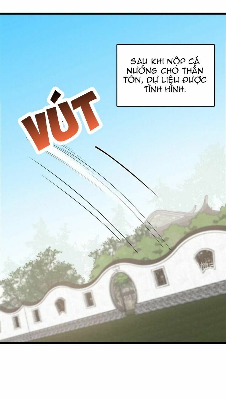 độc bộ thiên hạ: đặc công thần y chapter 242 2