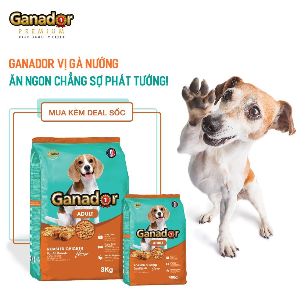 Thức ăn cho chó trưởng thành Ganador vị gà nướng - Adult Roasted Chicken Flavor Combo 5 gói 400gr/gói