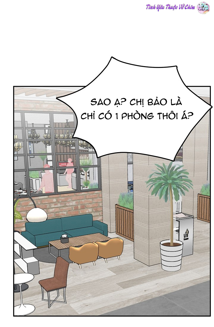 đối tác an toàn chapter 8 9