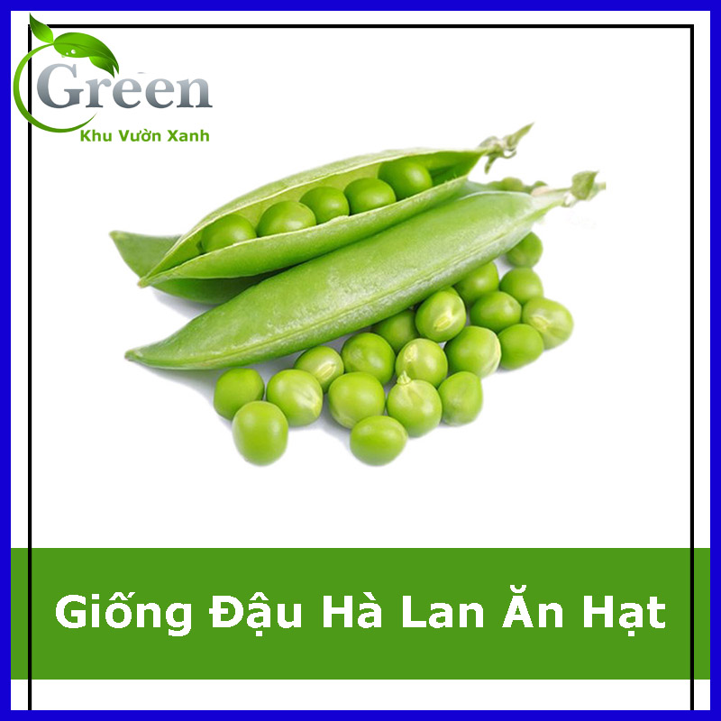 Hạt Giống Đậu Hà Lan Bụi Lùn