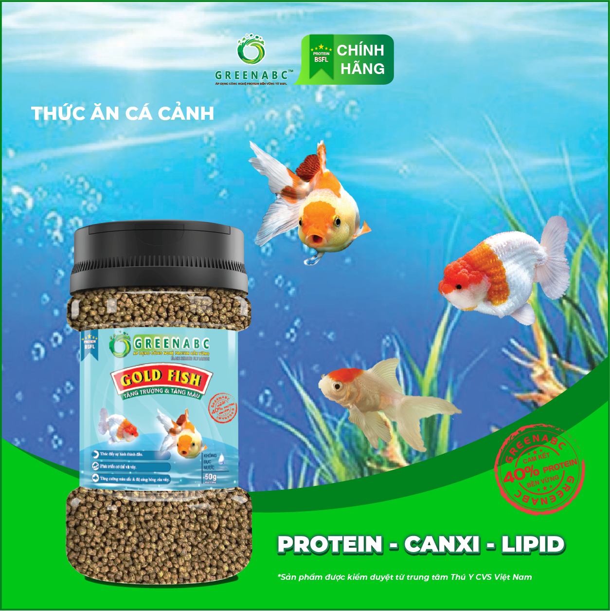 Thức ăn GoldFish GREENABC – Cá 3 đuôi – Cá vàng– Hàm lượng protein 40% giúp thúc đẩy hình thành đầu, lên màu đẹp, dáng đẹp – Hộp 50g