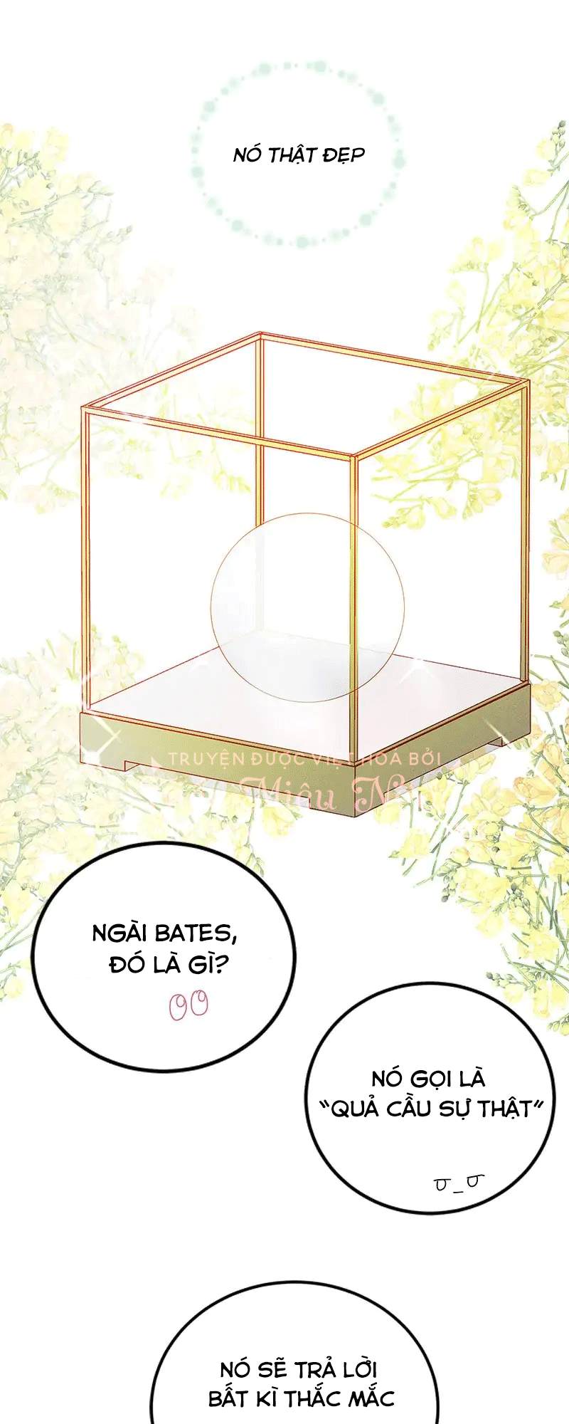 tôi muốn hủy cuộc hôn ước này chapter 33 24