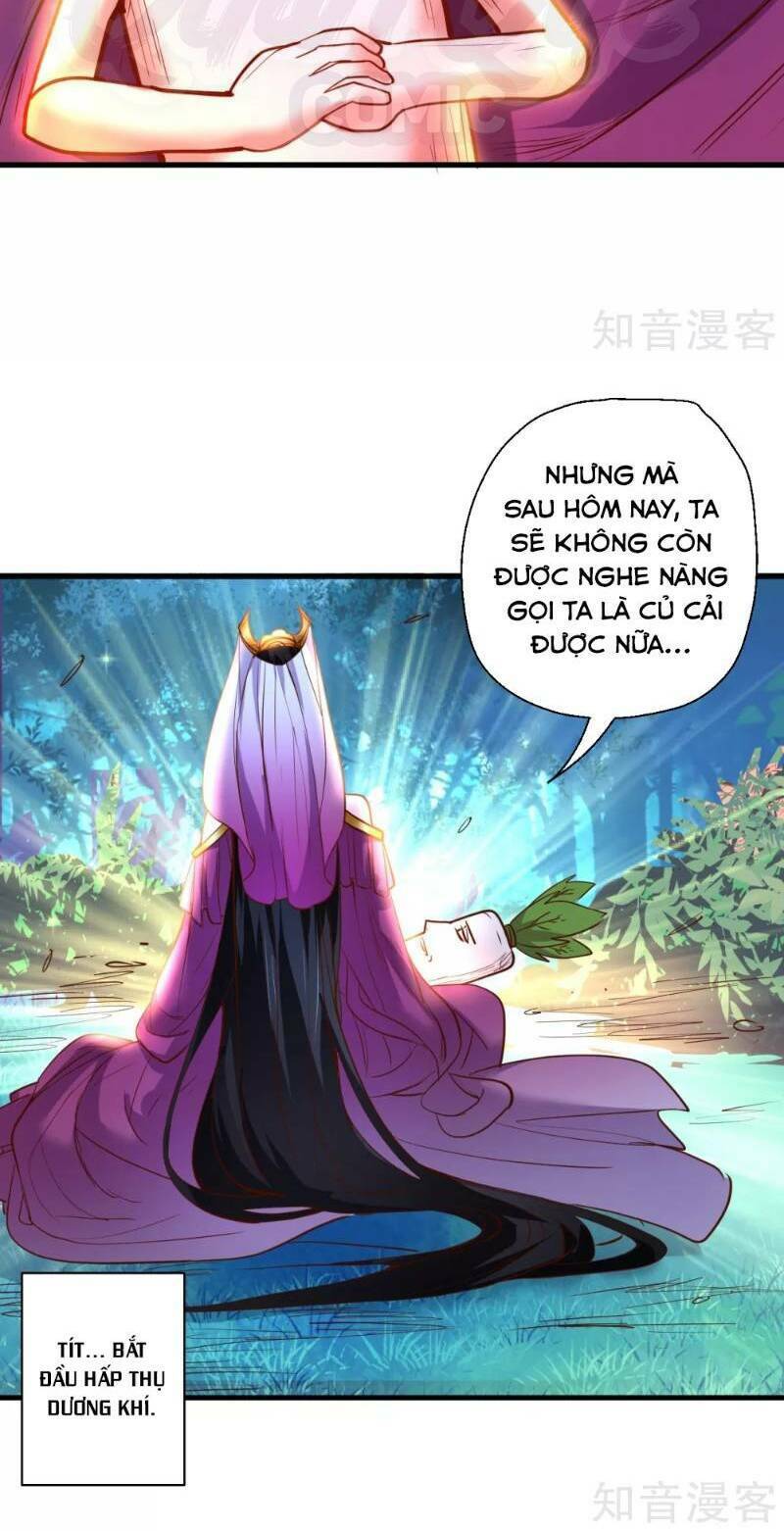 tối cường đại biểu hoàng kim thận chapter 69 18
