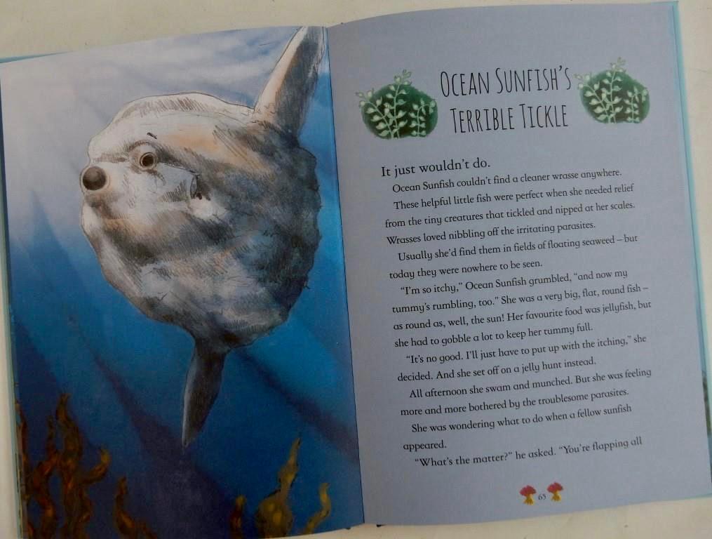 Tales From the Ocean