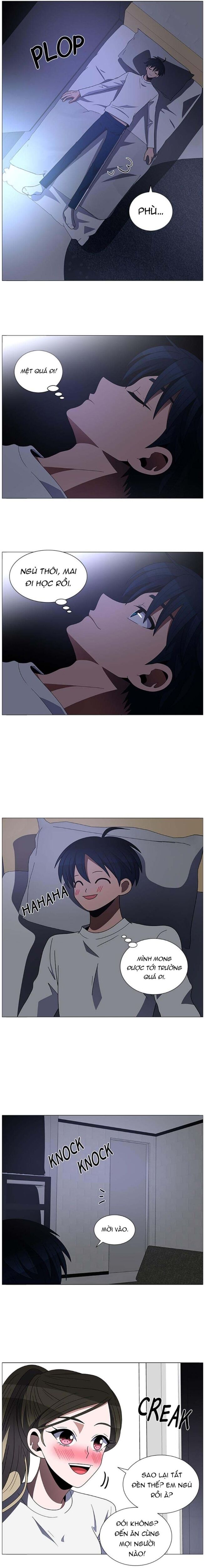 no scope chapter 145 6