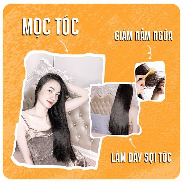Dầu gội bồ kết cô đặc ️Dầu gội thảo dược sạch gàu, nấm ngứa, chống, ngăn rụng tóc, mọc tóc QUÊ MỘT CỤC- handmade