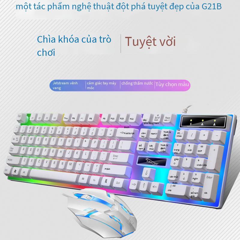 Khuyến mãi bộ bàn phím và chuột đuổi bắt ánh sáng da báo G21B bộ bàn phím và chuột có dây usb bộ thao tác có dây bộ bàn phím và chuột da tôm eBay