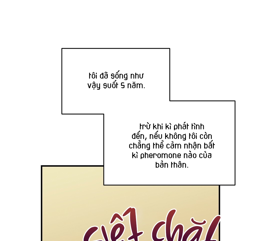 phức cảm tự ti của omega chapter 5 10