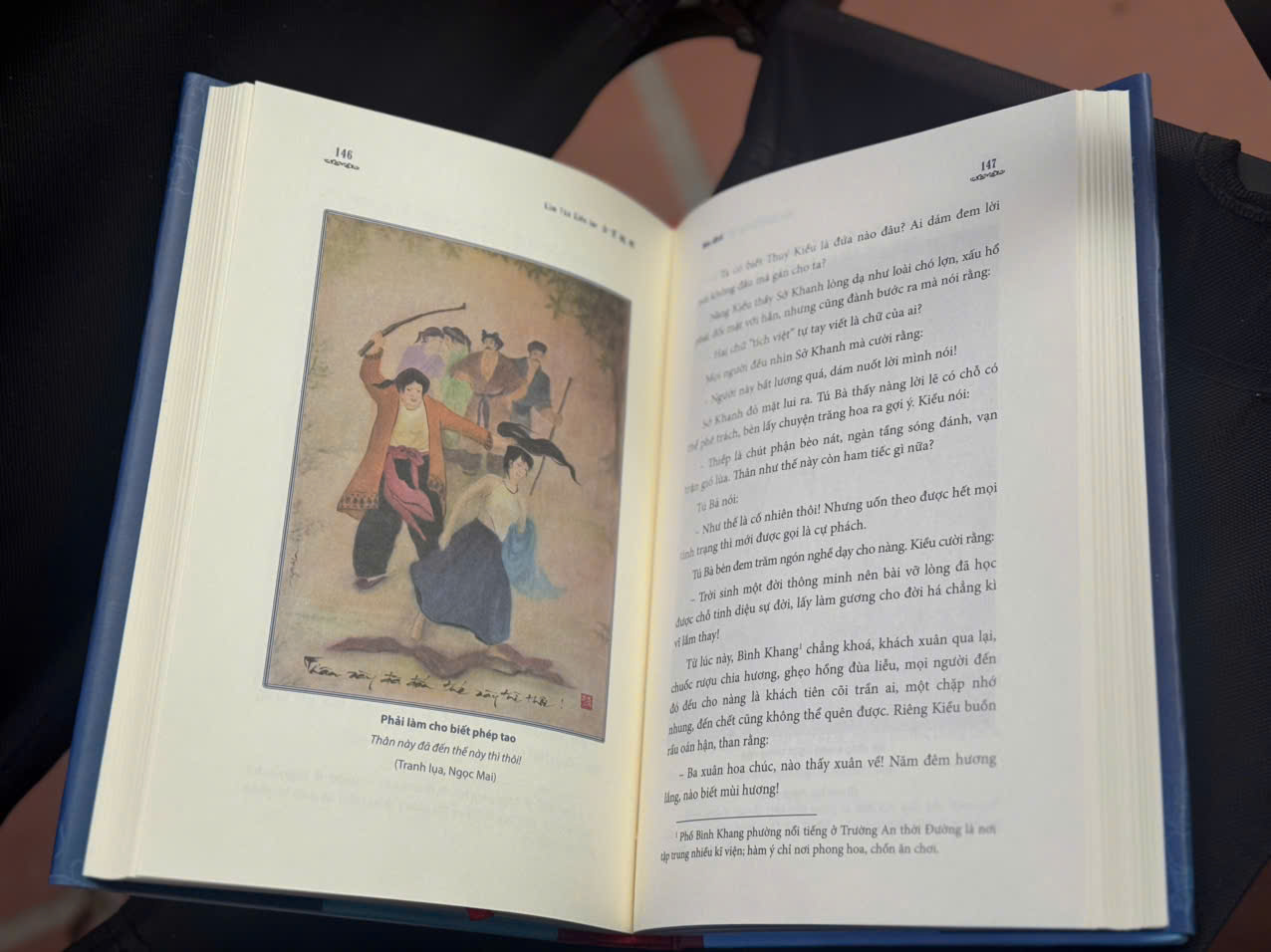 (Bìa cứng, có minh họa màu) KIM VÂN KIỀU LỤC 金 雲 翹 錄 1876 (Bản Cẩm Văn Đường lưu trữ tại Thư viện Đại học Leiden, Hà Lan) - Nguyễn Thị Sông Hương sưu tầm, giới thiệu; Dương Tuấn Anh dịch, chú giải – NXB ĐHSP