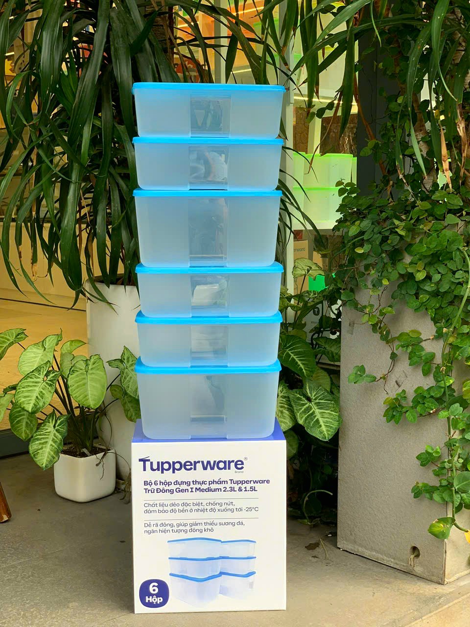 Bộ Hộp Đựng Thực Phẩm Tupperware Trữ Đông Gen I Medium 2.3L &amp; 1.5L