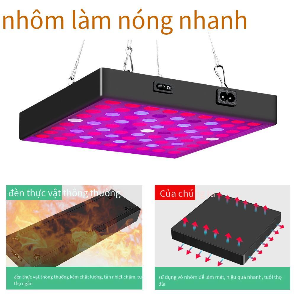 Bảng lượng tử 50W giá thấp nhất Đèn thực vật màu đỏ và xanh dương LED toàn phổ cho bể cá lấp đầy ánh sáng trồng cây 30W trong nhà Đèn tăng trưởng thực vật trong nhà