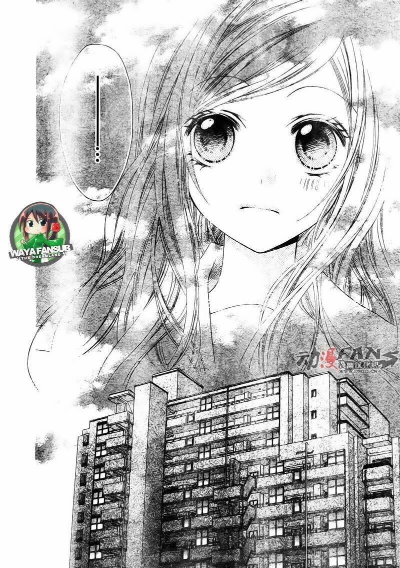 stardust wink chapter 1 41