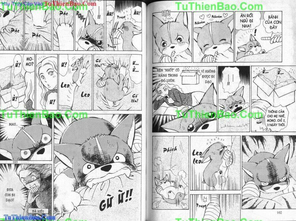 chó con mo mo chapter 5 52