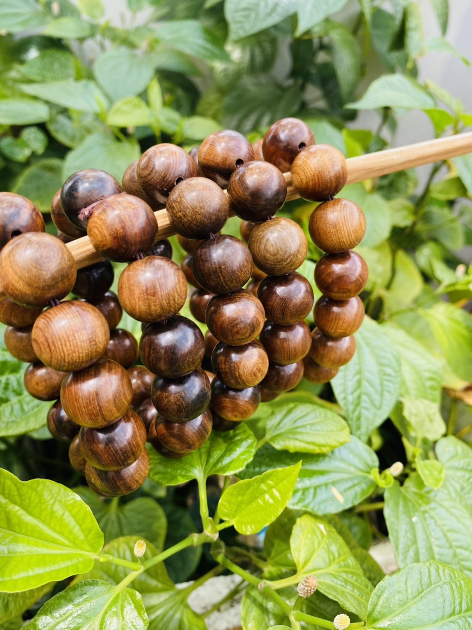 Vòng chuỗi đeo tay bách xanh Mộc Châu