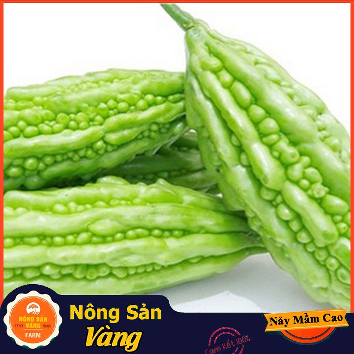 Hạt giống Khổ Qua F1 ( Gói 10 Hạt ) - Nông Sản Vàng