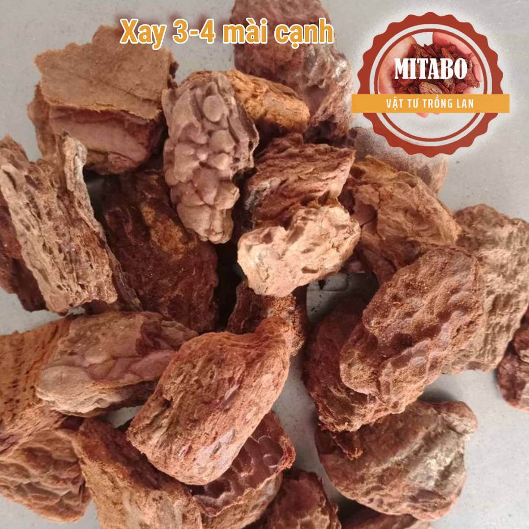5kg vỏ thông kích thước 3-4cm mài cạnh tròn đẹp