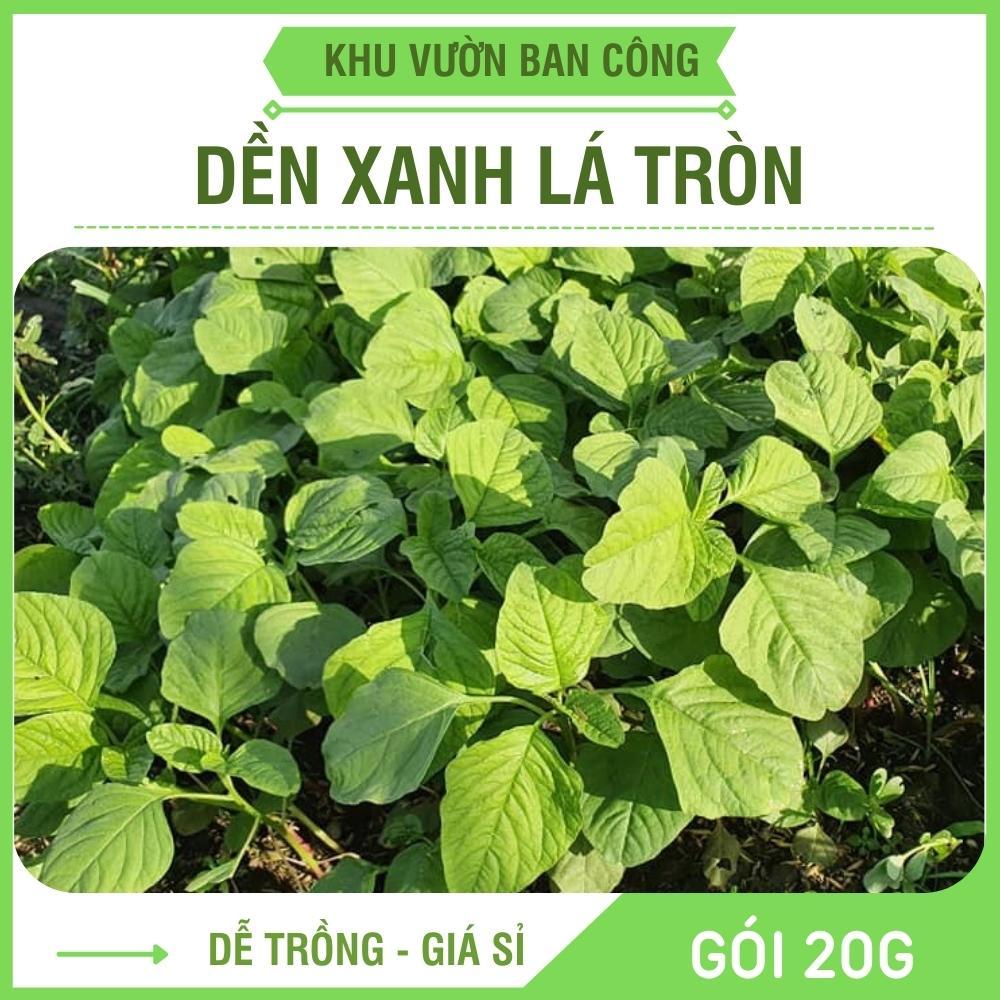 Hạt Giống Rau Dền Xanh Lá Tròn Cao Sản Dễ Trồng Năng Xuất Cao Gói 20G 5000 Hạt - Khu Vườn Ban Công