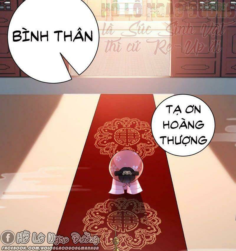 quận chúa vững vàng, thiết lập nhân vật không thể vỡ chapter 24 45