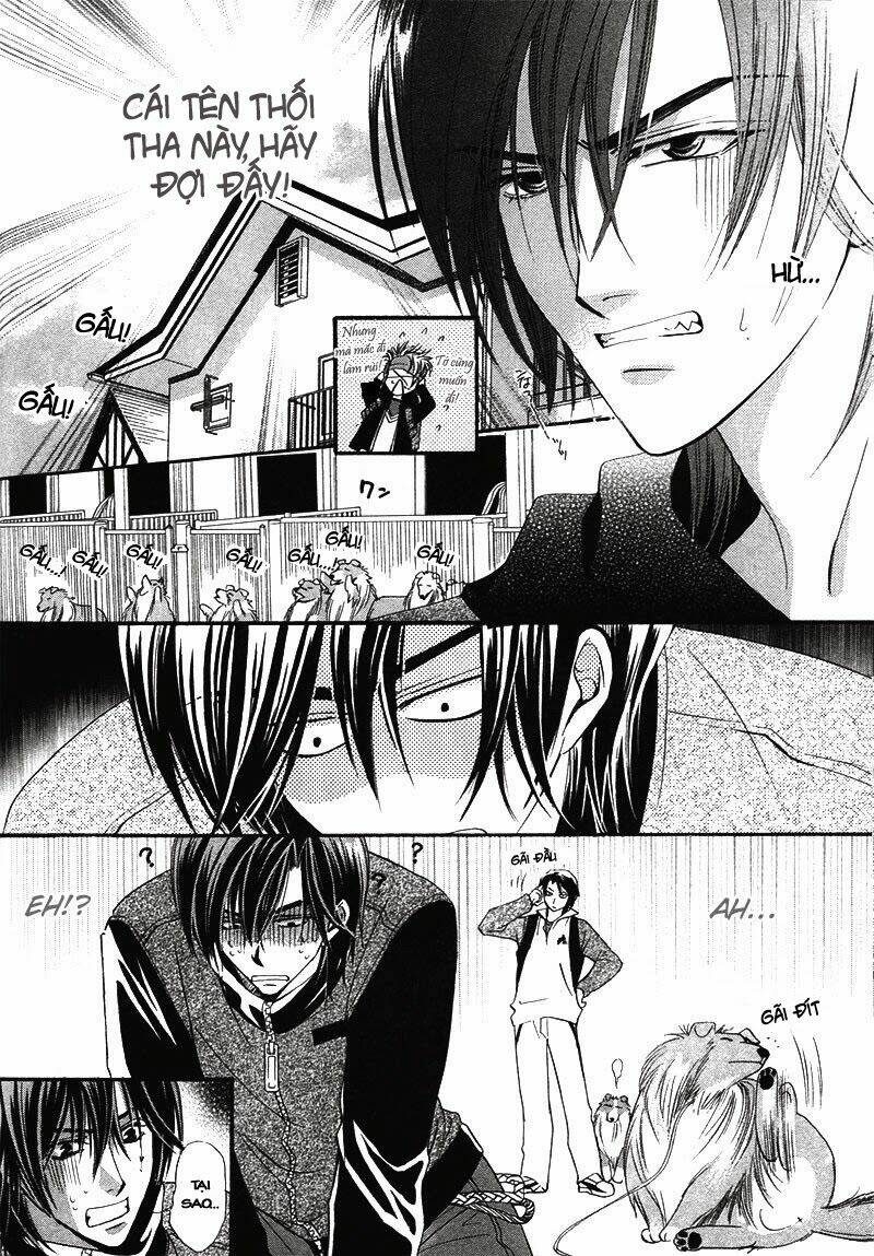 kawaita yoru no machi wo oyogu chapter 5 19